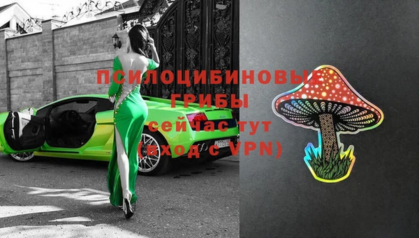 ПСИЛОЦИБИНОВЫЕ ГРИБЫ Бронницы