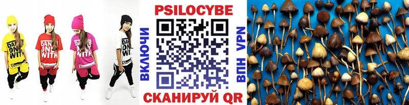 Галлюциногенные грибы прущие грибы KRAKEN как войти Бронницы