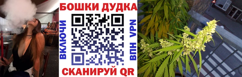 блэк спрут ТОР Бронницы Бошки марихуана OG Kush